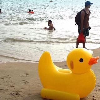 ห่วงยางแพเป็ดเหลือง  Giant inflatable pool duck