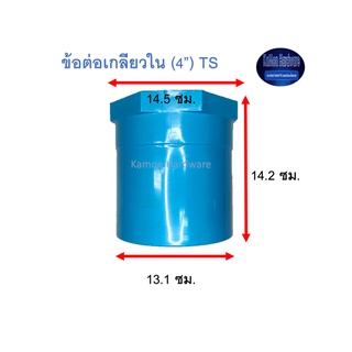 ข้อต่อเกลียวใน ท่อน้ำไทย (4”) Thai Pipe TS Faucet Socket ฟ้า 4