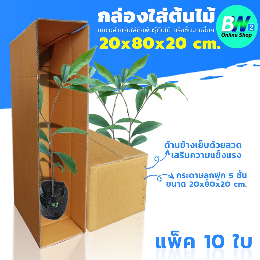 กล่องลูกฟูก 5 ชั้น 20.00x80.00x20.00cm (กล่องใส่ต้นไม้) (แพ็ค 10)