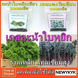 เคล 100เเมล็ด นอกแท้ เคลใบหยิก คะน้าหยิก เคลเขียว เคลแดง บลู ไดโนเคล อังกฤษ อเมริกา Kale Curled สลัด พันธ์ุ ผัก คะน้าเคล