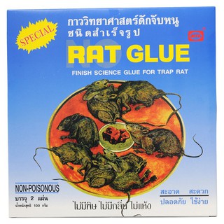 🔥The Best!! แรด กลู กาววิทยาศาสตร์ดักหนู ชนิดสำเร็จรูป 100 ก. RAT GLUE Science Glue Trap for Rat 100g.