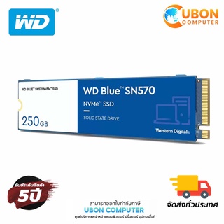 WD BLUE SN570 250GB M.2 2280 SSD (เอสเอสดี) (WDS250G3B0C)