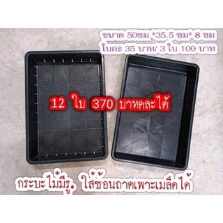 ถาดเพาะเมล็ดถาดไดโซะขาย ยก 12 ใบ แจ้งคละได้