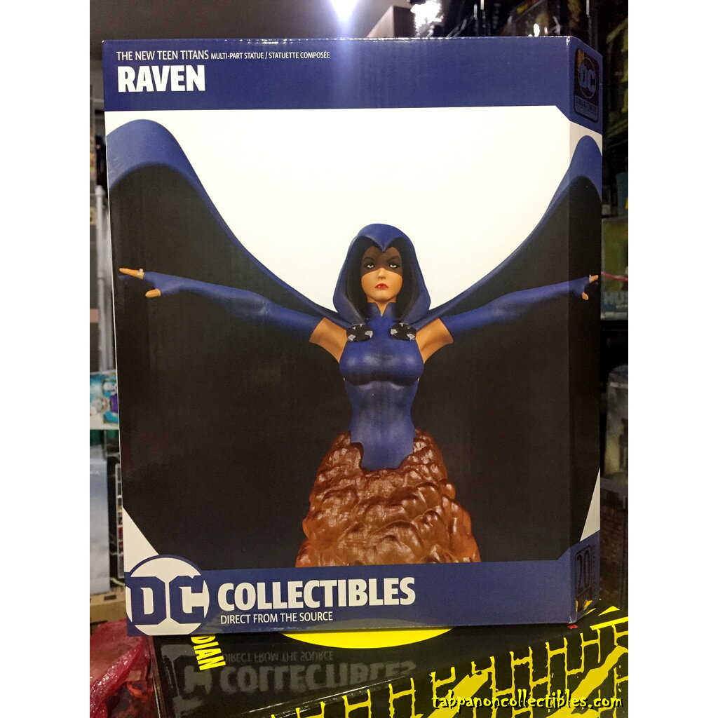 [2018.11] DC Direct The New Teen Titans Raven Multi-Part Statue