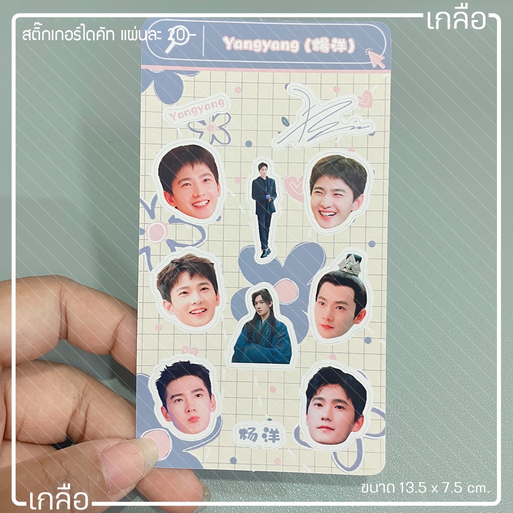 สติ๊กเกอร์ ไดคัท Yangyang 杨洋 หยางหยาง ขนาด 13.5*7.5 cm.