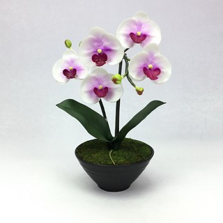 OrientalFineArt  กระถางกล้วยไม้ปลอมphalaenopsis สีสวยเหมือนจริง สำหรับประดับตกแต่งเพื่อความสวยงาม( AM-13-B F36)