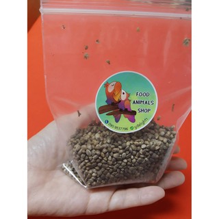 อาหารนกแก้ว ฮวยมั๊ว อาหารว่างนก เมล็ดฮวยมั้ว Hemp Seed เมล็ดพืช โปรตีนสูง ไขมันสูง # โปรพิเศษ # ขนาด 50g. #