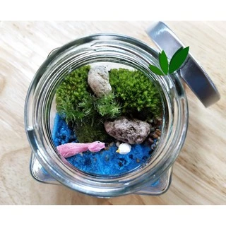 ชุดจัดสวนในขวดแก้ว DIY สวนขวด เซ็ทประหยัด 99฿ มีของพร้อมส่ง