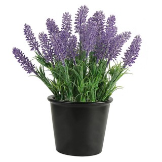 Artificial tree ARTIFICIAL LAVENDER SPRING 15X15X25CM Garden accessories Garden decoration accessories ต้นไม้ประดิษฐ์ ต้