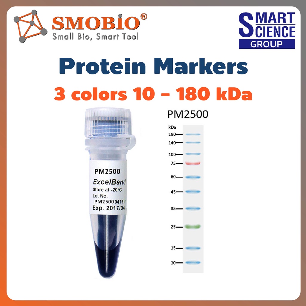PM2600 ExcelBand Protein Markers SDS-PAGE Western blot 3-color High Range 10 - 245 kDa 250 uL x 2 SM