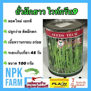 ถั่วฝักยาว ไวท์กรีน9 ขนาด 100 กรัม ตราใบคู่ เมล็ดพันธุ์ถั่วเนื้อ ลอตใหม่ ฝักดก สีเขียวอ่อน เนื้อหวานกรอบ อร่อย ยาว 55 ซม