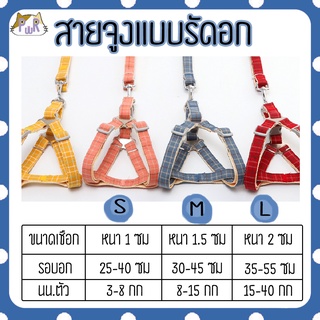 สายจูง ที่รัดอก สำหรับหมา แมว dog cat leashes [สายจูง]