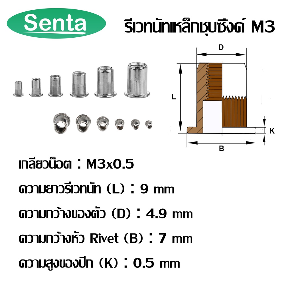 รีเวทนัท รีเวทนัทเหล็กชุบซิ้งค์ M3 M4 M5 M6 M8 M10 M12 สำหรับสกรู (STEEL RIVET NUT ZINC PLATED) ลูกรีเวท รีเวท ราคา ถูกที่สุด ดีลบีเคเค แกลเลอรีภาพที่ 3