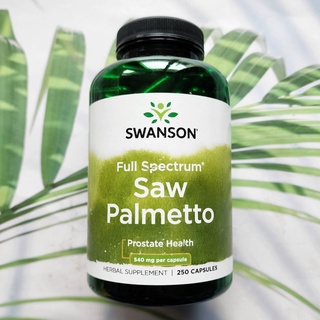 สารสกัดต้นปาล์ม Saw Palmetto 540 mg 250 Capsules (Swanson®) ดูแลสุขภาพของต่อมลูกหมาก ป้องกันผมร่วง สารสกัดซอว์ปาลเมตโต้