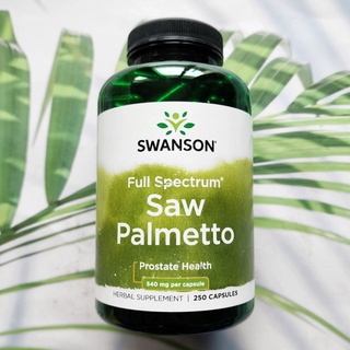 สารสกัดต้นปาล์ม Saw Palmetto 540 mg 250 Capsules (Swanson®) ดูแลสุขภาพของต่อมลูกหมาก ป้องกันผมร่วง สารสกัดซอว์ปาลเมตโต้