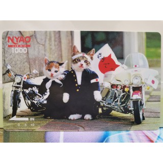 Nameneko Japanese Cat Card Rare by Satoru Tsuda 1980s ชุดที่ 17