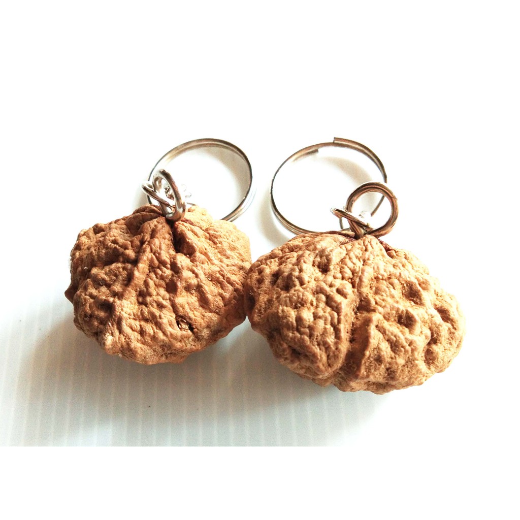 แปลก!!ผลไม้คล้ายพระ 5 องค์ นำไปประดิษฐ์ประดับตกแต่ง - รูปที่ 4