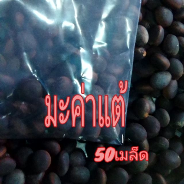 เมล็ดพันธุ์มะค่าแต้ ไม้ป่า 110 เมล็ด