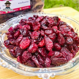 Cranberry แครนเบอรี่ อบแห้ง รสธรรมชาติ 250 กรัม