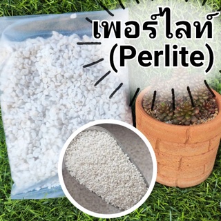 8 บาท เพอร์ไลท์ (Perlite)