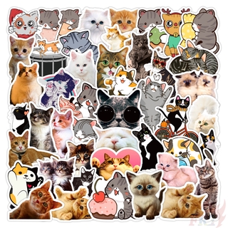 ❉ Kawaii Cats - Series 01 Cats Lovers สติ๊กเกอร์ ❉ 50Pcs/Set Pets Animal DIY Fashion Luggage Laptop Skateboard Decals Doodle สติ๊กเกอร์