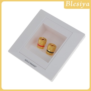 [BLESIYA] 2-Port Home Theater Speaker Banana Plug Binding Post Wall Face Plate Panel