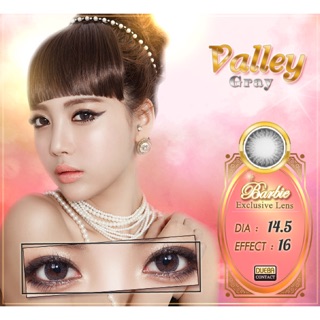 คอนแทคเลนส์ Vallet gray