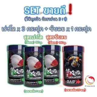 💥Set สุดคุ้ม❗อาหารปลาทอง🐠 Kenta (เคนตะ) สูตรเร่งโต ท้องไม่อืด และขับลม แก้ปลายหงายท้อง