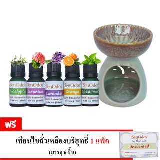 SenOdos ชุดเซ็ต น้ำมัน + เตาเผา น้ำมันหอมระเหย (ชุดกลิ่นสำหรับสัตว์เลี้ยง) Essential Oil For Pet Set 10 ml x 5 กลิ่น