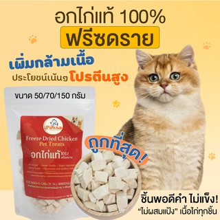 ขนมแมว PAWSA ไก่ฟรีซดราย ไก่อบแห้ง ฟรีซดรายแมว ขนมฟรีซดราย ขนมสุนัข ขนมแมวเพื่อสุขภาพ