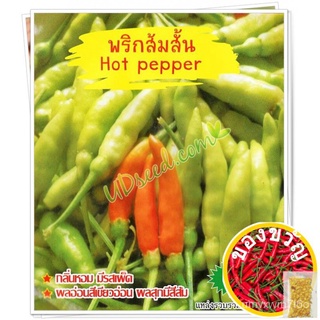 เมล็ดอวบอ้วน100%，ไทยในสต็อกพร้อมส่งเมล็ดพริกส้มสั้น Hot pepper เมล็ดพันธุ์พริกส้มสั้น พริกส้มสั้น เมล็ดพริก เมล็ดพันธุ์ผ