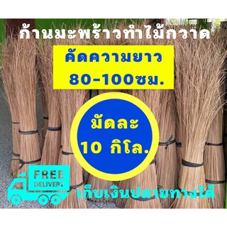 ก้านทางมะพร้าว ยาว 80ซม ถึง 100ซม 10 กิโลกรัม ก้านเหลาใหม่ ไม่ผุ ไม่ชื้น ไม่ขึ้นรา ส่งฟรีทั่วประเทศ เก็บเงินปลายทางได้