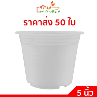 กระถางต้นไม้
 กระถางปลูกต้นไม้ กระถางพลาสติก
 กระถางขาว สีขาว 5 นิ้ว 50 ใบ