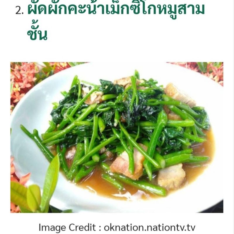ผักคะน้าไชยา ยอดสดปลอดสารพิษพร้อมรับประทาน ราคา ถูกที่สุด ดีลบีเคเค แกลเลอรีภาพที่ 4