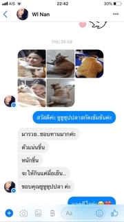 [ส่งฟรี+แถม2กป] ChooChoo ชูชู อาหารเสริมบำรุงแมว ซุปปลาสกัดเข้มข้น สำหรับแมว 24 กระป๋อง (ยกลัง 80กรัม/กปx24กระป๋อง)