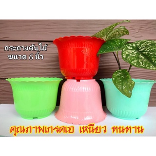 กระถาง กระถางต้นไม้ พลาสติกเกรด A ขนาด 6 นิ้ว เหนียว หนา ทน แพ็ค 5ใบและ 10ใบ  คละสีตามรูปพร้อมลวดลาย