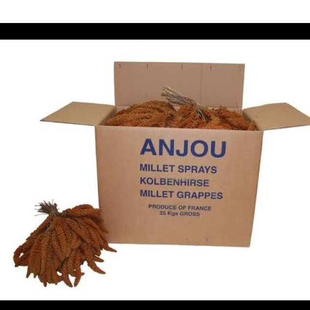 Bird Feed 140 บาท ANJOU มิลเล็ตสเปรย์ฝรั่งเศส 500g. Pets