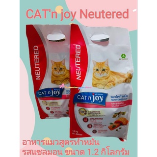 แค็ทเอ็นจอย แมวทำหมัน Catn joy Neutered cat