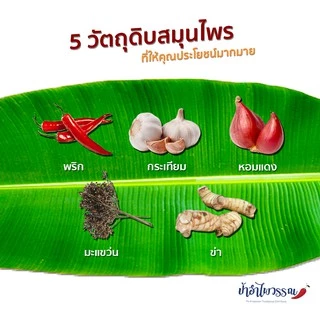 ป้าอำไพวรรณ พริกลาบ เมืองแพร่