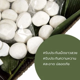 ลูกแป้งข้าวหมาก ลูกแป้งสาโท ลูกแป้งสาโทหวาน 1แพ็คได้10ลูก หอม หวาน เข้มข้น เก็บไว้ได้นาน1ปี(แช่เย็น) พร้อมส่ง