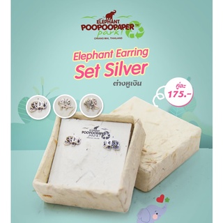 Elephant Earring Set Silver ต่างหูเงินแท้ 92.5%