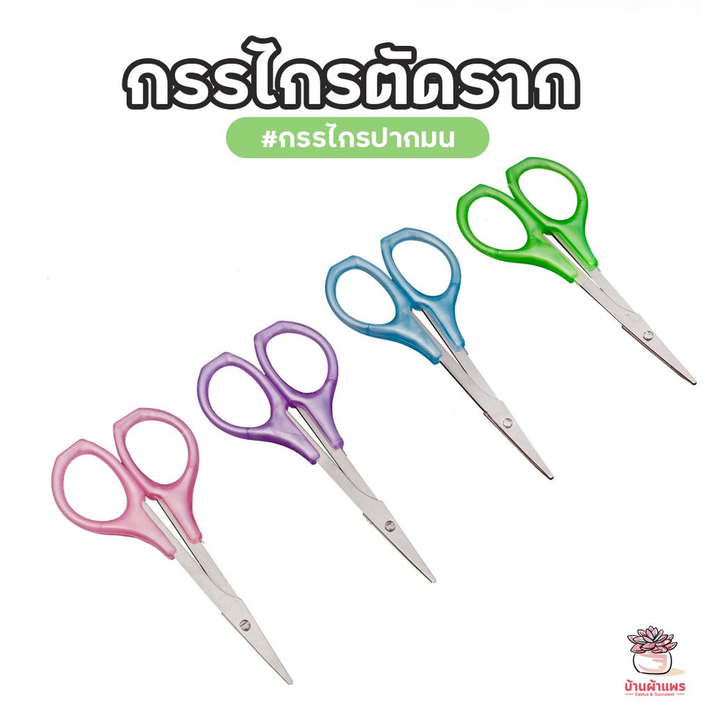 กรรไกรตัดราก กรรไกรปากมน กรรไกรจิ๋ว อุปกรณ์แต่งสวน แคคตัส กระบองเพชร ไม้อวบน้ำ cactus&succulent