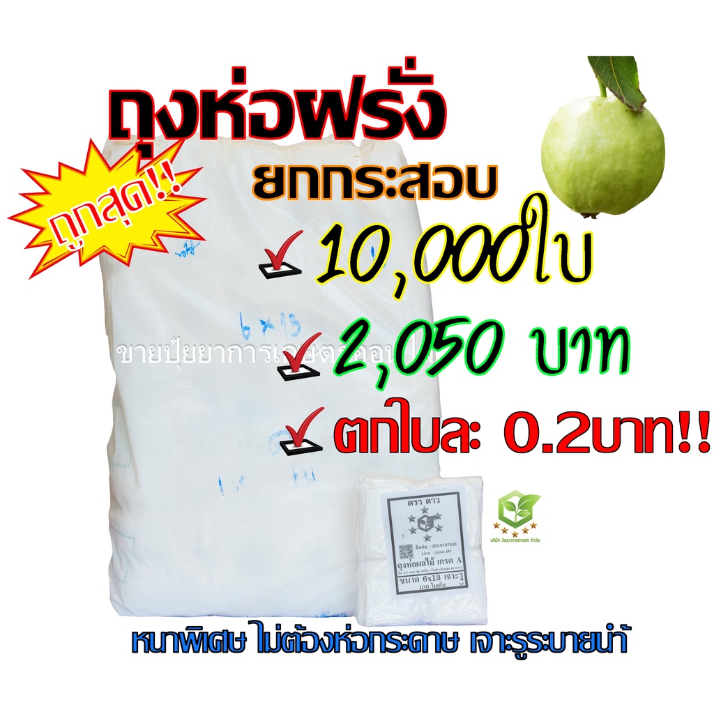/ยกกระสอบ20มัด/ ถุงห่อฝรั่ง ตราดาว ขนาด 6X13 ตราดาว ถุงห่อฝรั่ง หนาขุ่น กันUV หนาพิเศษ แบบเจาะรูนำ้ไหลดละ 500ใบ