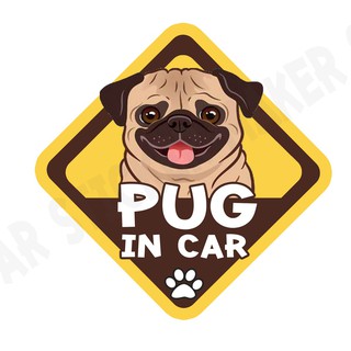 สติกเกอร์ติดรถ สติ๊กเกอร์ติดรถยนต์ สติกเกอร์หมา DGA155  pug dog