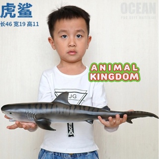 Animal Kingdom - โมเดลสัตว์ ฉลามเสือ ขนาด 41.00 CM แบนิ่่ม (จากสงขลา)