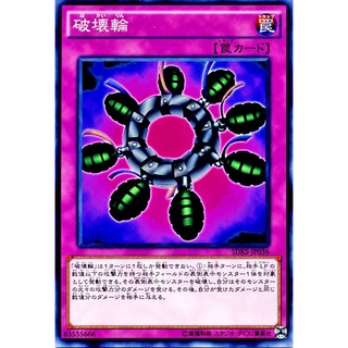 SDKS SDKS-JP036Int Ring of Destruction Seto Kaiba Structure Common Int SDKS-JP036 0807100208126