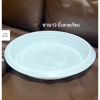 Little จานรองกระถางต้นไม้ 10 นิ้ว 8 นิ้ว 6 นิ้ว 12 นิ้ว 15 นิ้ว