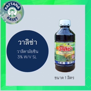 วาลิซ่า 1 ลิตร วาลิดามัยซิน3% SL  ควบคุมโรคราหลุม โรคกาบใบแห้ง โรคโคนเน่า โรคใบจุดสีน้ำตาล