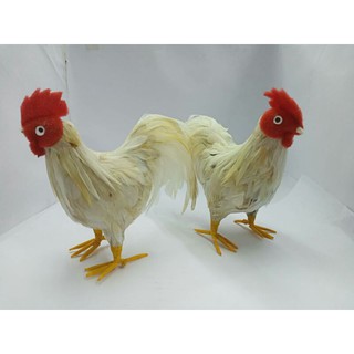ไก่ขนสีชาว   ความสูง  5 "  (งานหายาก) ตัวละ 159