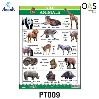 AREENA 3 Language Poster โปสเตอร์ 3 ภาษา 38x51cm PT009 : WILD – ANIMALS